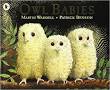 owl babies
