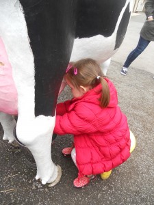 We tried to milk a cow.  Thank goodness it wasn't a real one!
