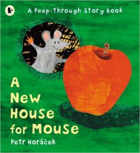new house for mouse