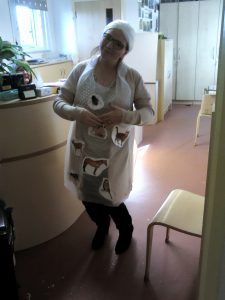 Poor Mrs Parker swallowed a fly, a spider, a bird, a cat, a dog, a goat, a cow and a horse.