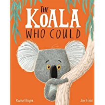 koala