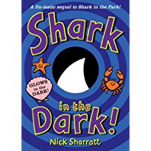 shark in dark