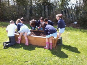 New Planting Season The more the merrier!