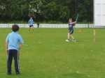 Cricket