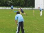 Cricket