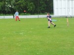 Cricket