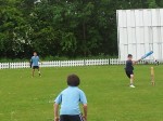 Cricket