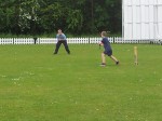 Cricket