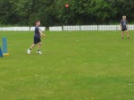 Cricket