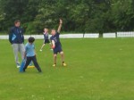 Cricket