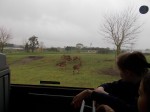 DSCN0324