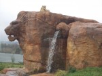 DSCN0351