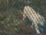 DSCN0377