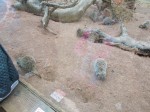 DSCN0437