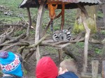 DSCN0440