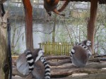 DSCN0444