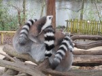 DSCN0447