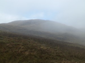 DSCF0917