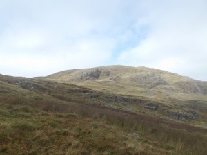 DSCF0918
