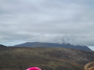 DSCF0934
