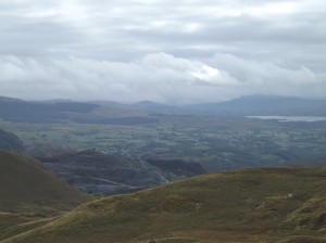 DSCF0935