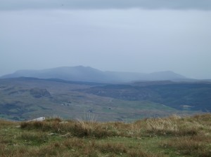 DSCF1044
