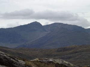 DSCF1046