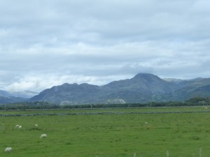 P1030675