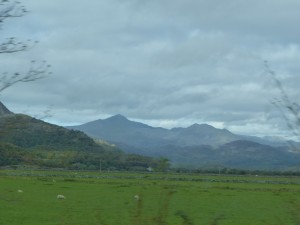 P1030676