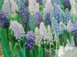 DSCN0068