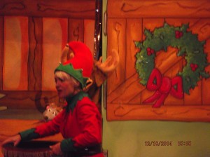 DSCF8174