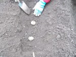 DSCN0468