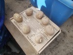 DSCN1301