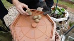 DSCN0265