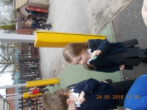 DSCN2678
