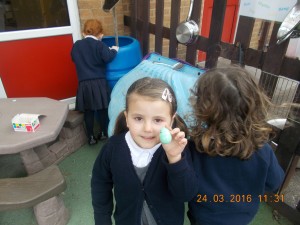 DSCN2683