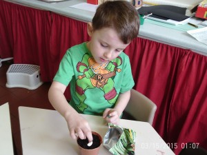 Planting magic beans