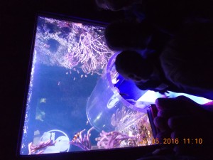 DSCN2958