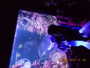 DSCN2959