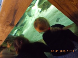 DSCN2960