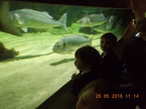 DSCN2961
