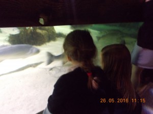DSCN2962