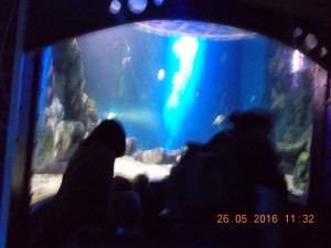 DSCN2976