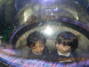 DSCN3022