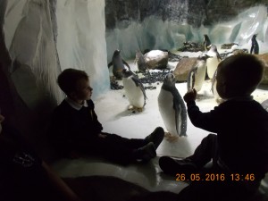 DSCN3027