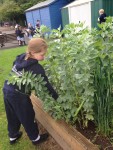 gardening