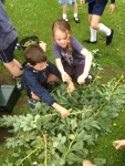 gardening 2