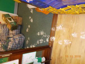 DSCN3869