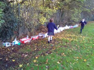 IMG_20161111_142343