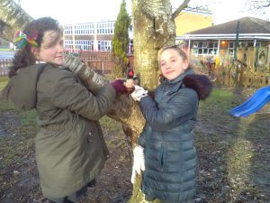 IMG_20170113_135423
